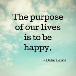 the purpose of life